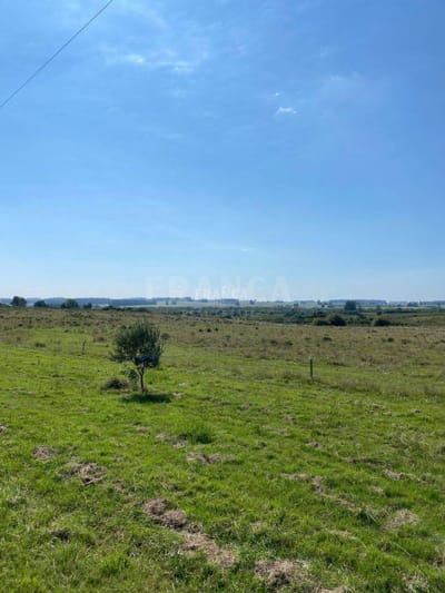 Chacra de 5 hs en José Ignacio, casi sobre ruta 9.