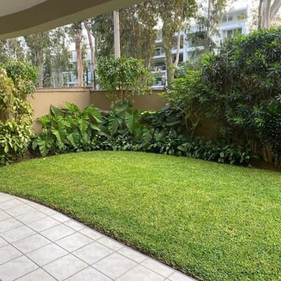 DEPARTAMENTO EN VENTA CON JARDN EN CHACARILLA SAN BORJA  DORMITORIOS