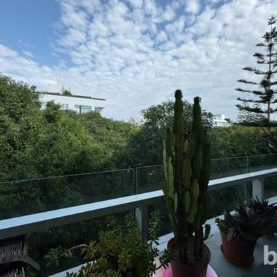 DEPARTAMENTO EN VENTA CON LINDA VISTA AL PARQUE SANTA TERESITA