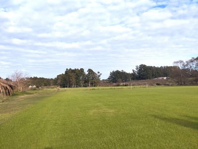 Se vende gran campo deportivo con 4 canchas futbol 11 de 9 hectareas
