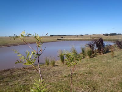 Chacra de 10 hectáreas en José Ignacio