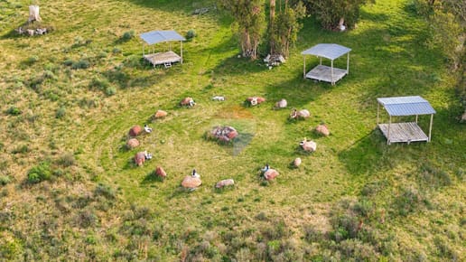 VENTA CHACRA 11 HA, CABAÑAS MONTE NATIVO ARROYO
