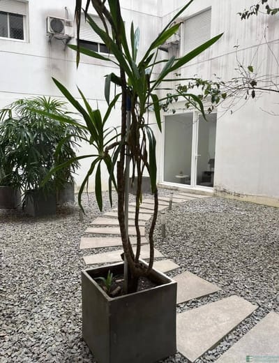 Apartamento en alquiler c/ cochera en Cordón