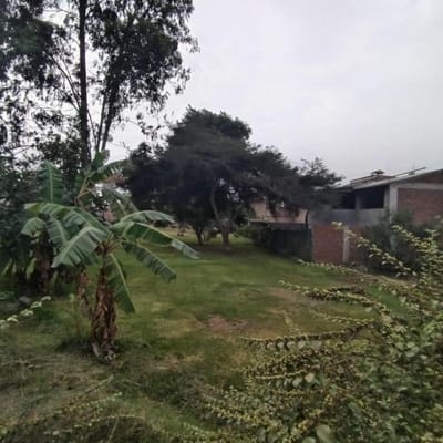 Terreno en  Chaclacayo