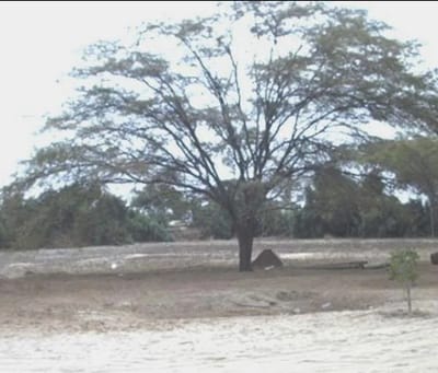 Terreno Carretera panamericana El Sol NorteSur camino La Legua  Min d Catacaos