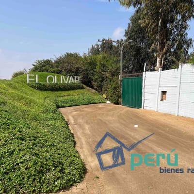VENDO TERRENO DE CAMPO PUCUSANA