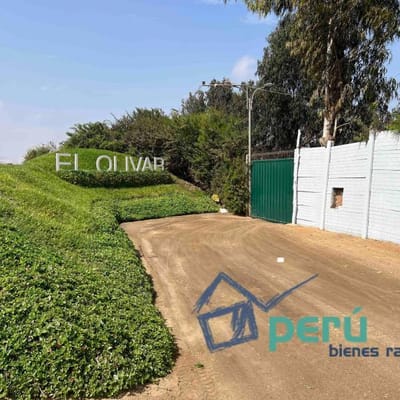VENDO TERRENO DE CAMPO PUCUSANA