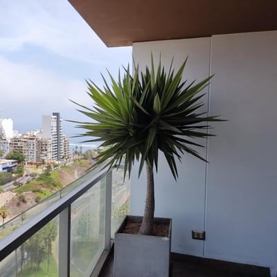 Penthouse amoblado vista al mar