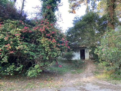 VENDO GRAN TERRENO , BARRIO CORDOBA, MALDONADO