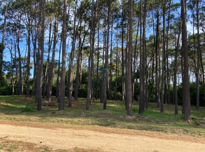 TERRENO EN VENTA BARRIO DON MIGUEL