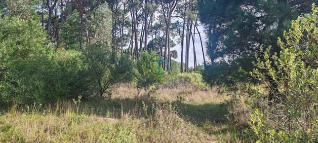 Terreno en BARRA VERDE