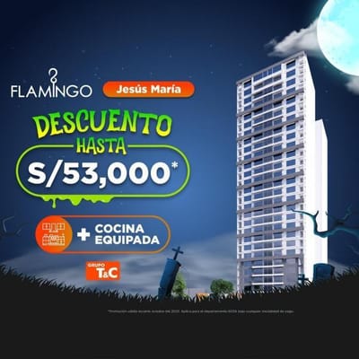 FLAMINGO EN CONSTRUCCIN