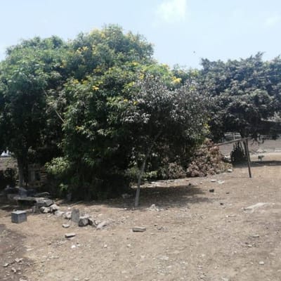 TERRENO AMPLIO Y BIEN UBICADO