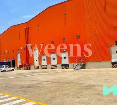 WEENS ALMACENES  CALIDAD INTERNACIONAL VARIADAS ALTURAS Y TAMAOS