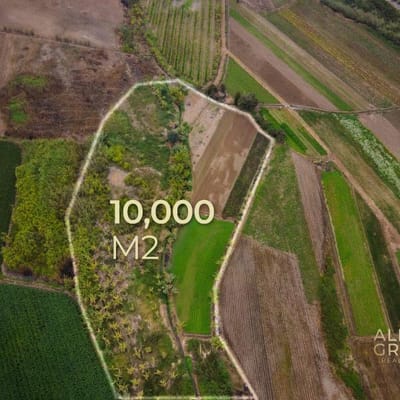 Huaral  Venta de Terreno Agrcola