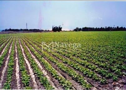 TERRENO EN VENTA EN BARRANCA URBANORURAL   ALTURA KM