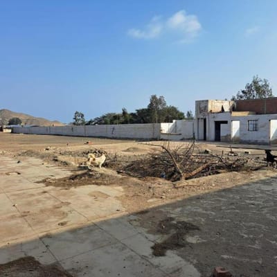 VENTA DE TERRENO SUPER PRECIO NEGOCIABLE DE  m AV LAS PALMERAS CHILCA