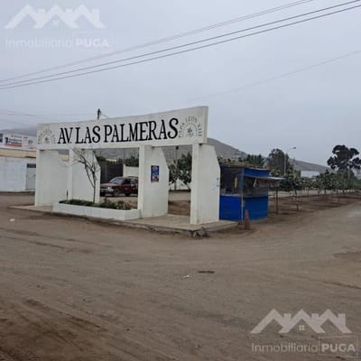 Venta de Terreno en esquina Av Las Palmeras Chilca