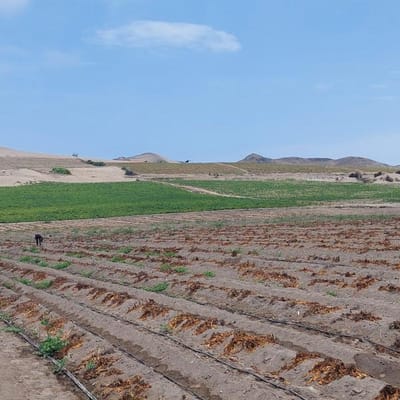 CHANCAY Venta de hectareas de terrenos industriales y residenciales hasta  ha
