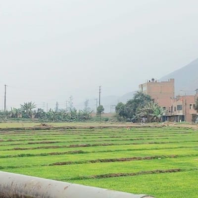 Venta de terreno  m en Lurigancho Chosica