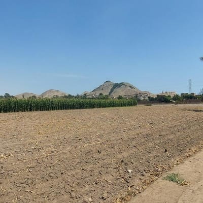 Alquiler o Venta de Terreno en Pachacamac  m