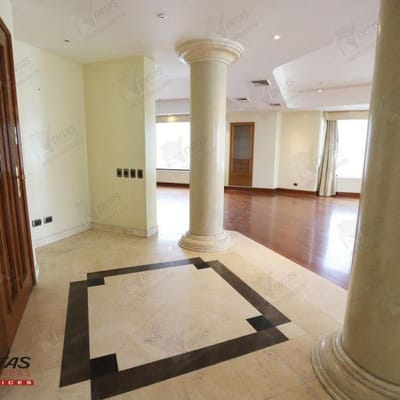 Departamento  Lince