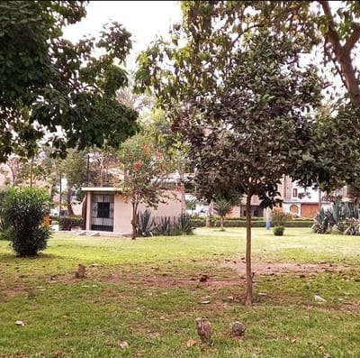 Vendo Departamento m Frente al Parque