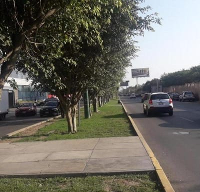 AVENIDA OLGUIN  ESPECTACULAR TERRENO EN ESQUINA  m COMERCIO ZONAL