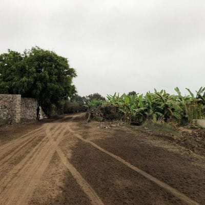 TERRENO FRENTE A LA LAGUNA DE BUJAMA MALA  ha