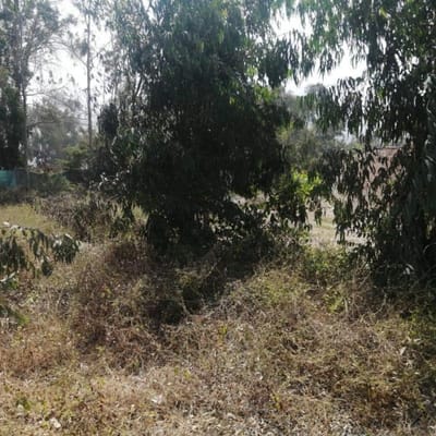 Venta de Oficina en San Borja
