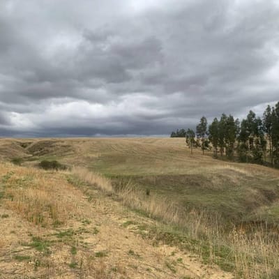 OPORTUNIDAD VENTA DE TERRENO REA  M