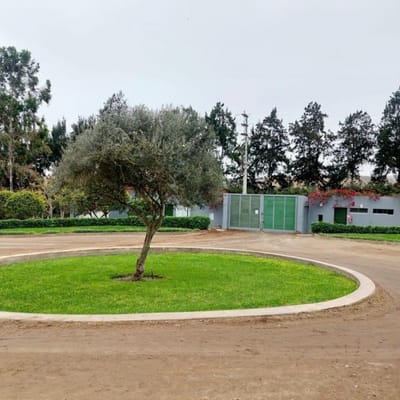 Bellsimo Terreno en La Finca Los Olivos  OCASION UNICA