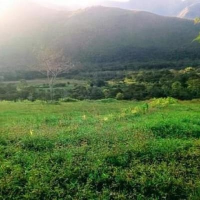VENDO TERRENO EN HUANCABAMBA DISTRITO DE OXAPAMPA