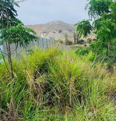 VENDO LOTE EN LA MEJOR ZONA DE AZPITIA
