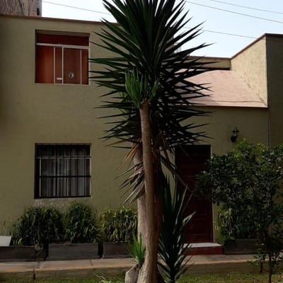 VENDO CASA FRENTE A PARQUE SURCO