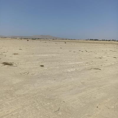 VENDO  Has EN PARACAS SOL TODO EL AO