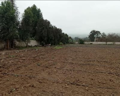 Terreno en venta pachacamac m