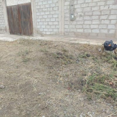 EXCELENTE TERRENO EN VENTA EN LA PUNTA  CAMNA