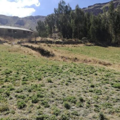 EN VENTA TERRENO EN COPORAQUE CAYLLOMA IDEAL PARA HOTEL O NEGOCIO