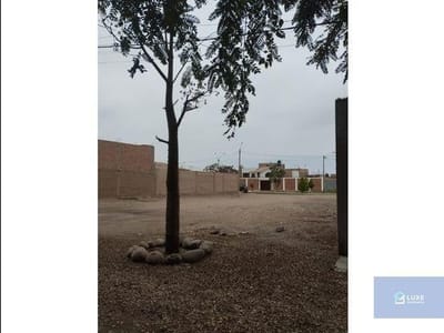 SE VENDE TERRENO EN SUNAMPE CHINCHA
