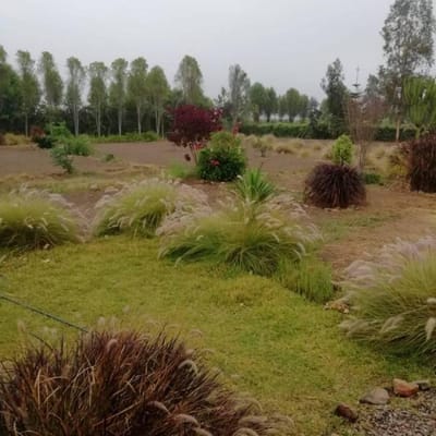 Venta Lotes Para Casa de Campo en Entrada Alto Laran Chincha  Ica