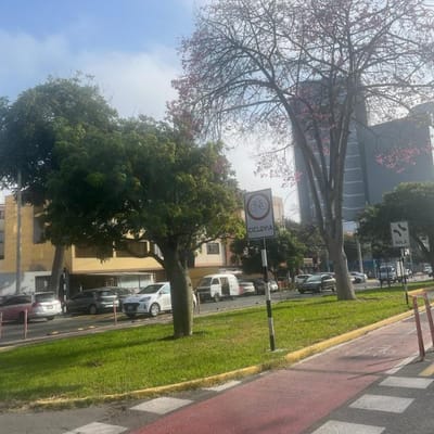 Terreno en centro financiero san Isidro  metros