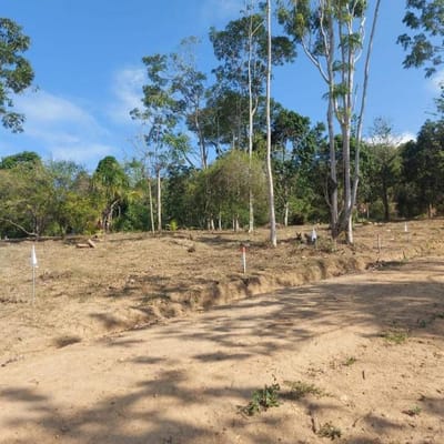 Proyecto de Lotes en Lamas buenavista