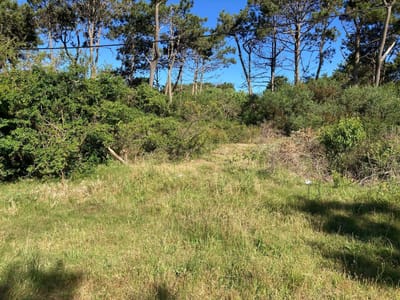 Venta Terreno en Punta del Diablo