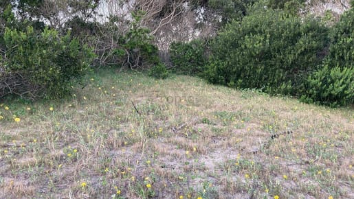 Venta de Terreno en Rocha