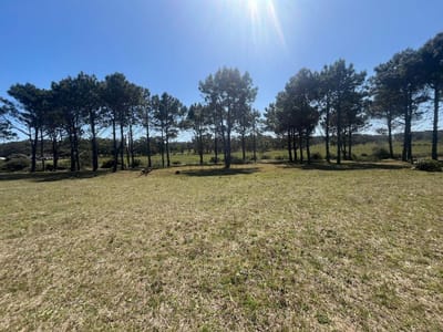 Venta de Terrenos en San Sebastián de Garzón