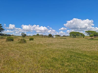 Venta de Lote 169 en Carmelo Golf