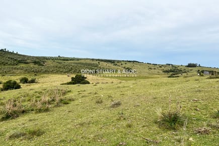 CAMPO EN SIERRAS DE CARAPE 25HAS