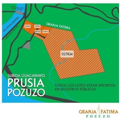 VENDO TERRENO  ha POZUZO OXAPAMPA SEMI RURAL a  m carretera central
