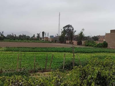 Se Vende Terreno En Puente Piedra  M